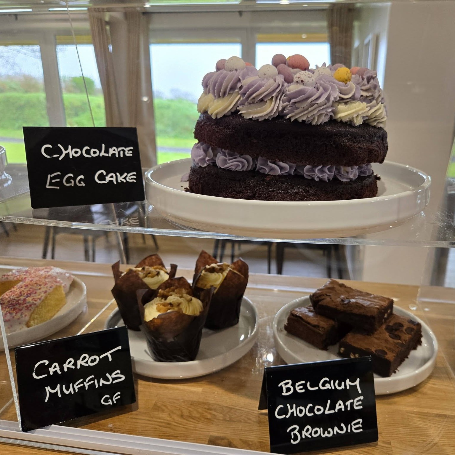 665423606_967637138940570_6602648474154577301_n